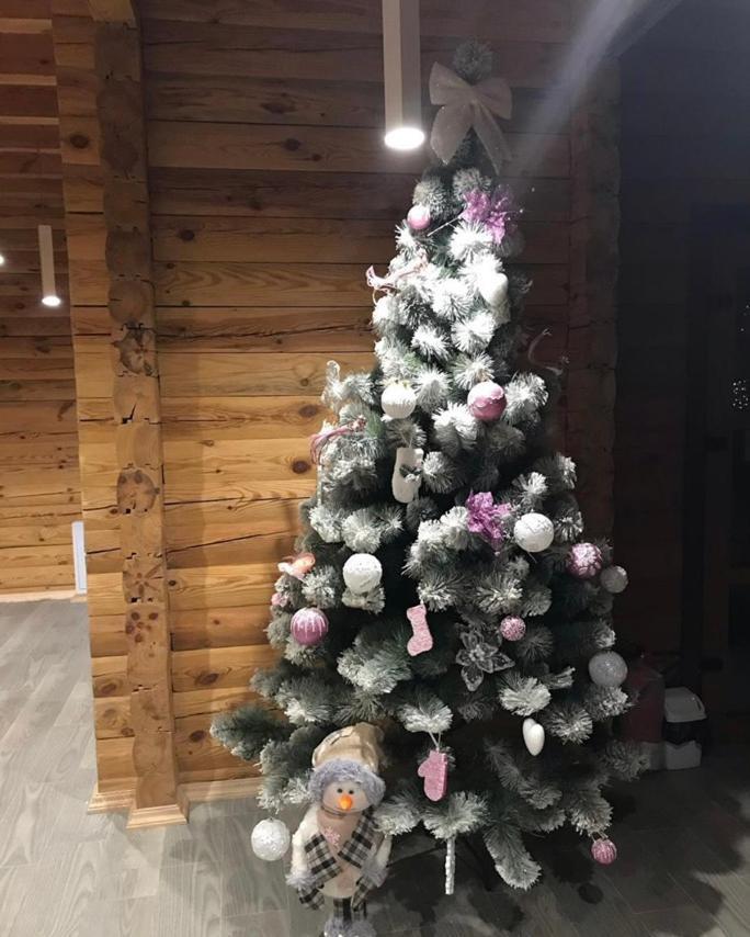 Golden Nest Apartment Yablunytsya Bagian luar foto