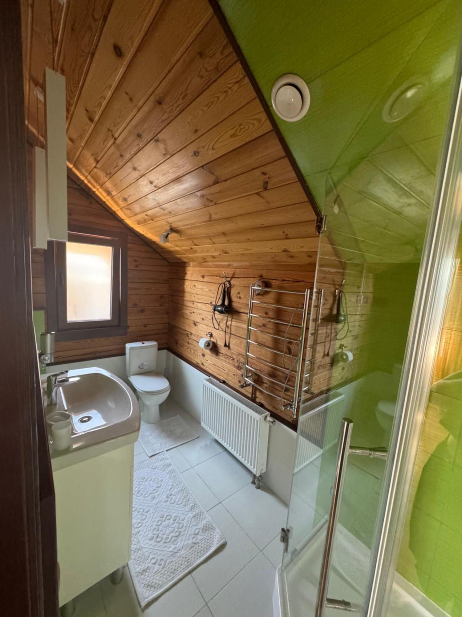 Golden Nest Apartment Yablunytsya Bagian luar foto