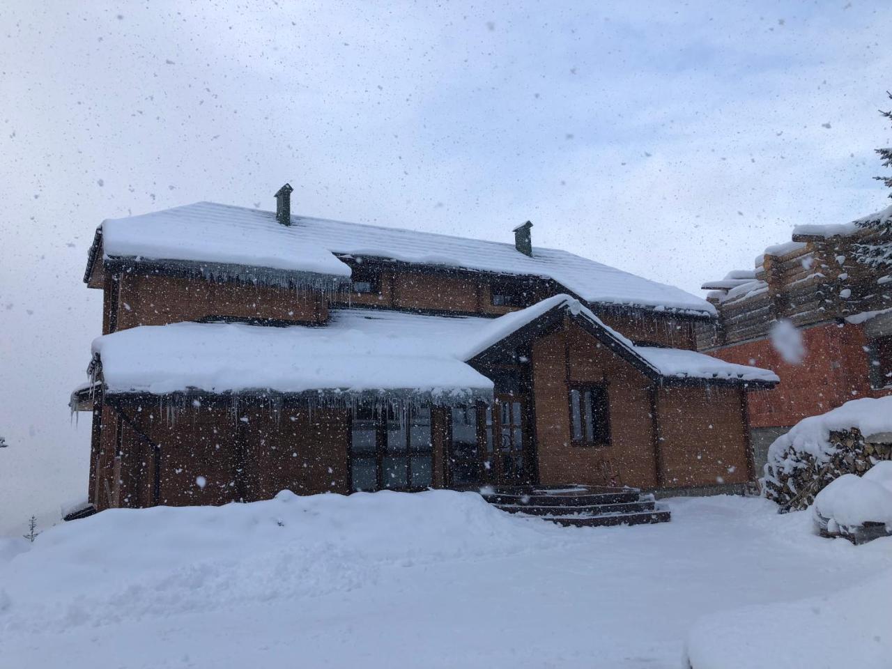 Golden Nest Apartment Yablunytsya Bagian luar foto